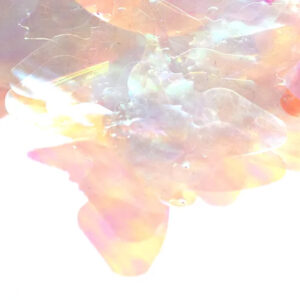 iridescent butterflies