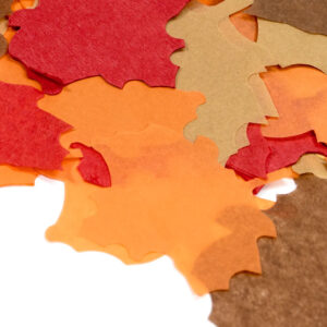 mixed color confetti leaves